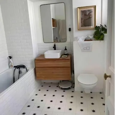 Lovely Parisian Flat Apartment