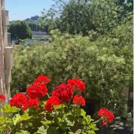 Lovely Parisian Flat Apartment Paris